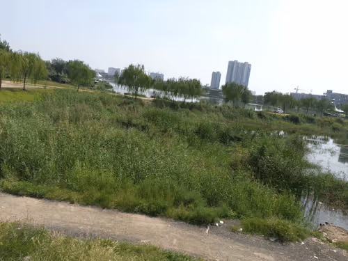 Untitled Collection #63738840