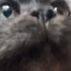 97741345536893501004292294049343490970026208576363346845776779075405813383169