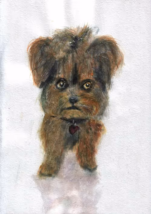 Item #53661683660994396488981893260373811515315705590489664499670501589322091824800 Media