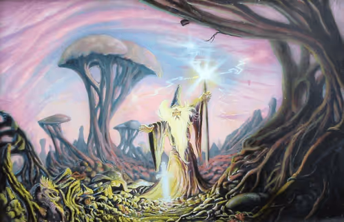 gladiuslumen Collection