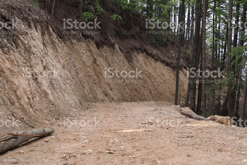 Untitled Collection #129731525