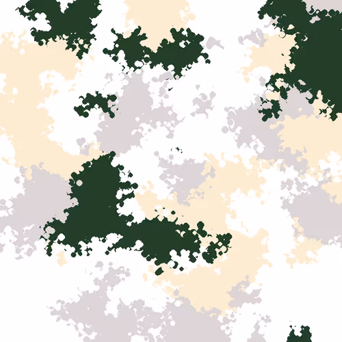 Camouflage Patern
