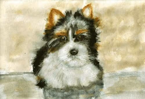 Item #53661683660994396488981893260373811515315705590489664499670501582725022058144 Media