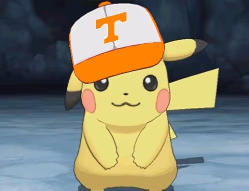 Untitled Collection #267815831