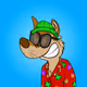 chase the dingo