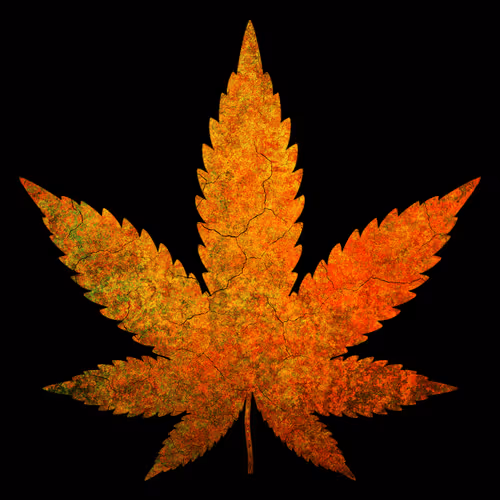 Item #27429404742285856424020713709496491268388893896169540775489702289247513346058 Media