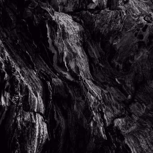 Untitled Collection #16246132