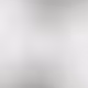 Untitled Collection #61387714