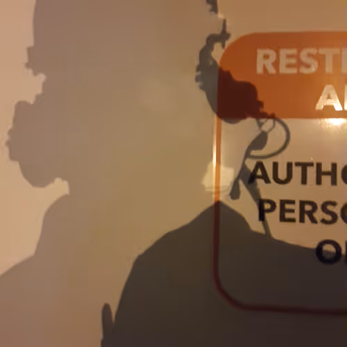 Untitled Collection #145525116