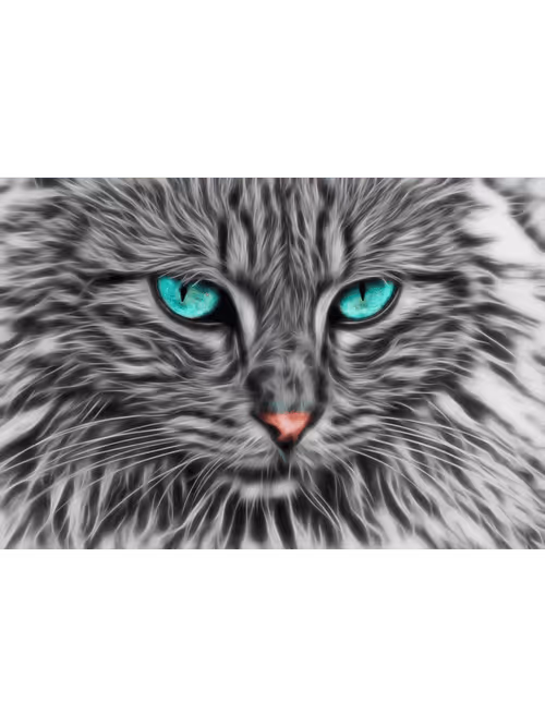 Item #70469049229583053751456040592558374656766630238032944084073234330898952880133 Media