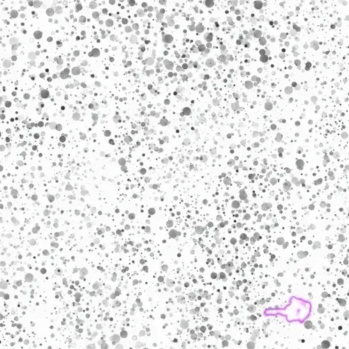 Untitled Collection #206184542