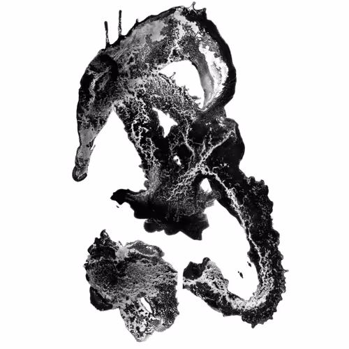 Untitled Collection #199801222