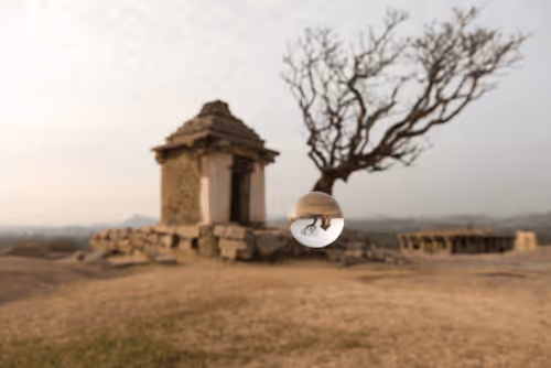 Untitled Collection #80669458