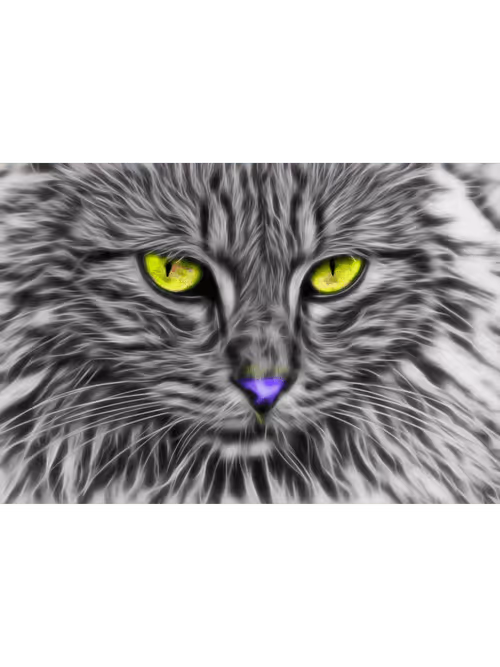 Item #70469049229583053751456040592558374656766630238032944084073234333097976135685 Media