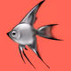 PTEROPHYLLUM (AngelFish)