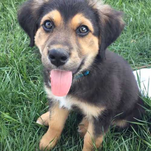 Untitled Collection #28177269