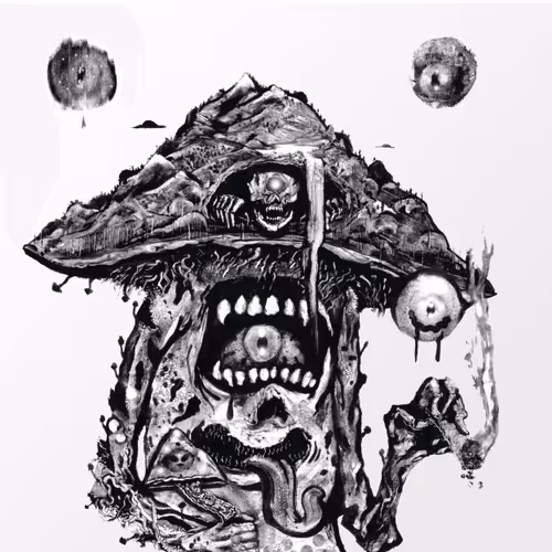 Polygon Derivative Offerings