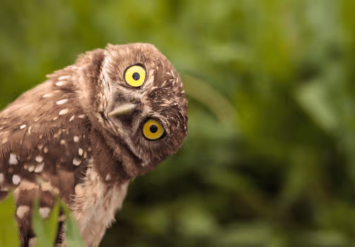 Untitled Collection #137519550