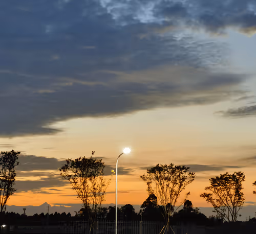 yongyialibaba Collection