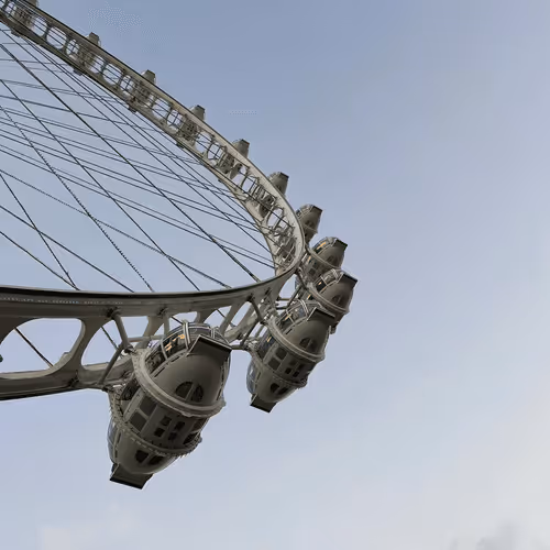 Untitled Collection #181820157