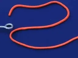 Untitled Collection #181914764 - old