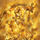 Picasso Golden Snatchers