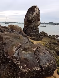 Item #796638993731848468553700001337130722622321311759604289543104036160330006529 Media