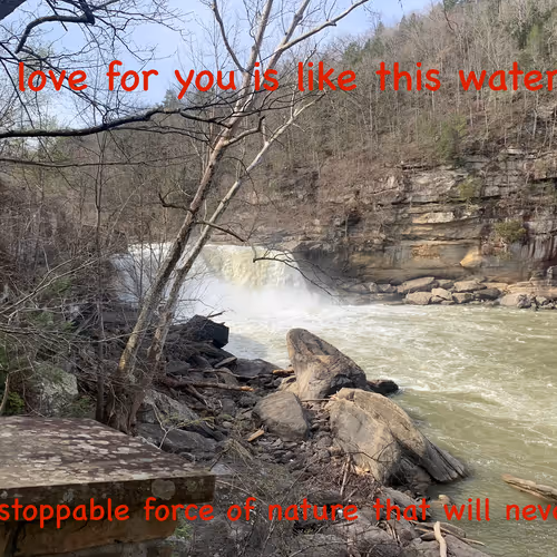 Untitled Collection #18088833