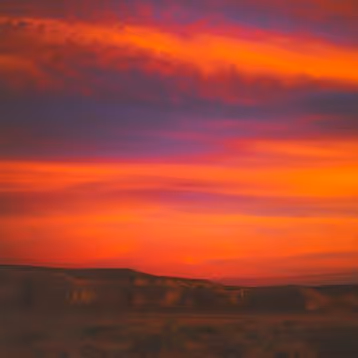 Untitled Collection #2993184181