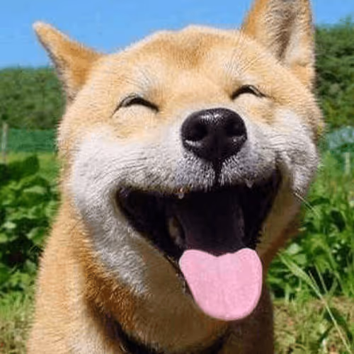 Untitled Collection #71704160