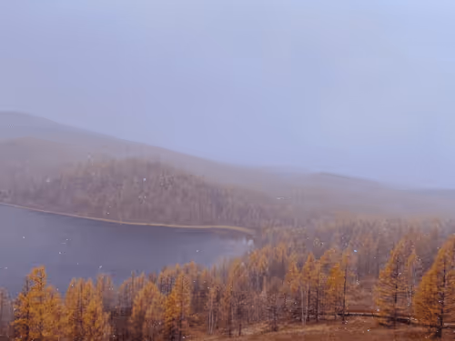 Untitled Collection #86541403