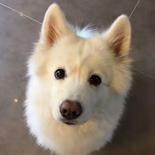 Untitled Collection #62569170