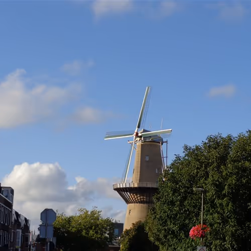 Untitled Collection #75568513