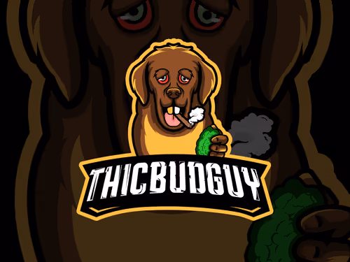 Untitled Collection #205286183