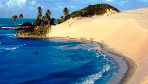 Untitled Collection #71517100