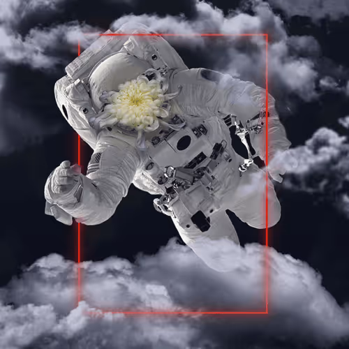 Untitled Collection #256264103