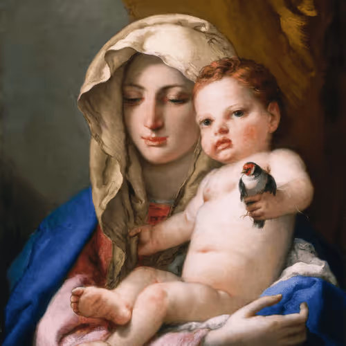 Untitled Collection #82026823