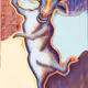 Strange cattle