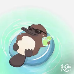 52378173901504613773293014415890183906933013780930268633852710724587071995905