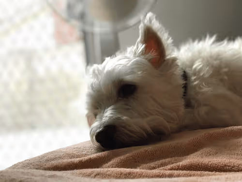 Untitled Collection #293805098