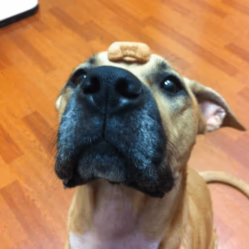 Untitled Collection #116925451