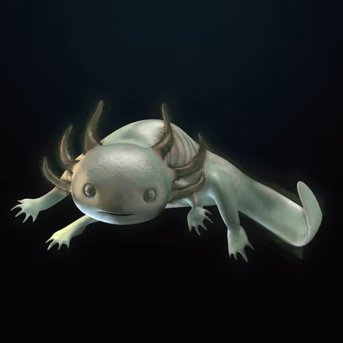 Item #39982110375740153587505644478940195082872270202471884348459982128208544792577 Media