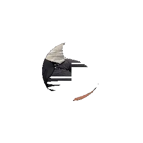 Untitled Collection #42014135