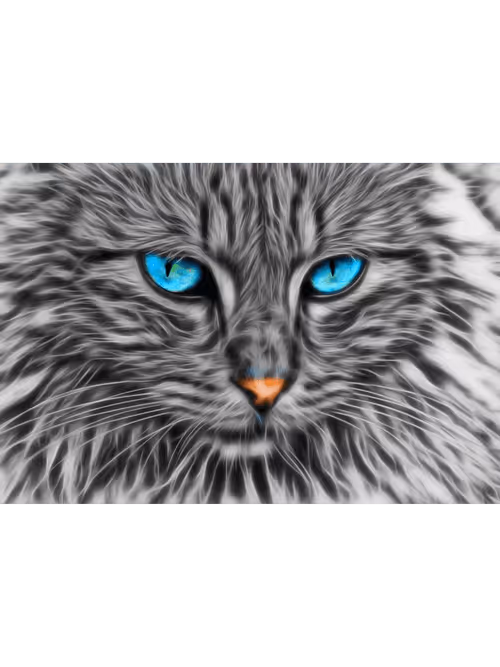 Item #70469049229583053751456040592558374656766630238032944084073234334197487763461 Media