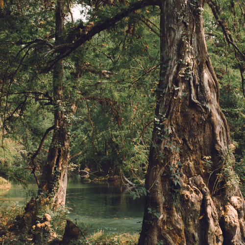 Untitled Collection #290981711