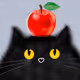 Fluffy Cat-little soul mate-