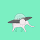 Elephantsback_