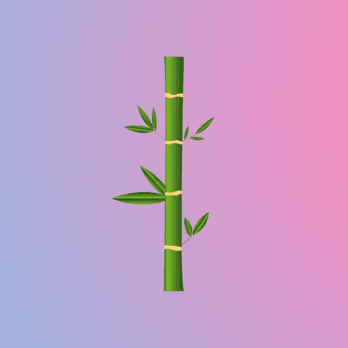 Simple Pandi Bamboo Stalks