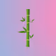 Simple Pandi Bamboo Stalks