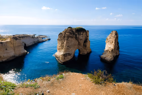 Untitled Collection #170322151